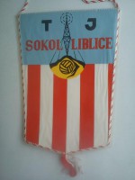 /album/liblice/liblice-tj-sokol-23-jpg/